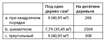 Правильная разбивка плодового сада в строгом порядке в продольные и поперечные - фото 200