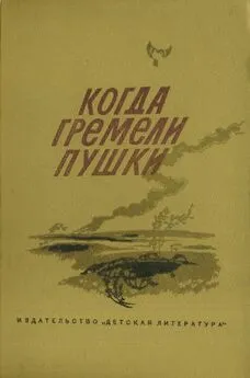 Николай Внуков - Когда гремели пушки