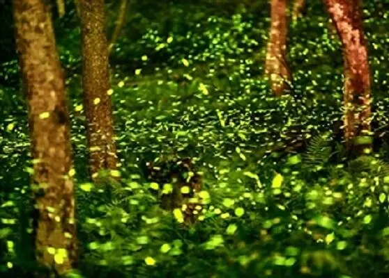 Вечерело И дорога которую ребятам пришлось преодолевать уже не казалась им - фото 3