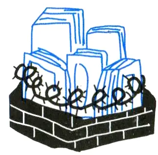 Резервацию для писателей с неправильными фамилиями устроили в дальнем шкафу - фото 47
