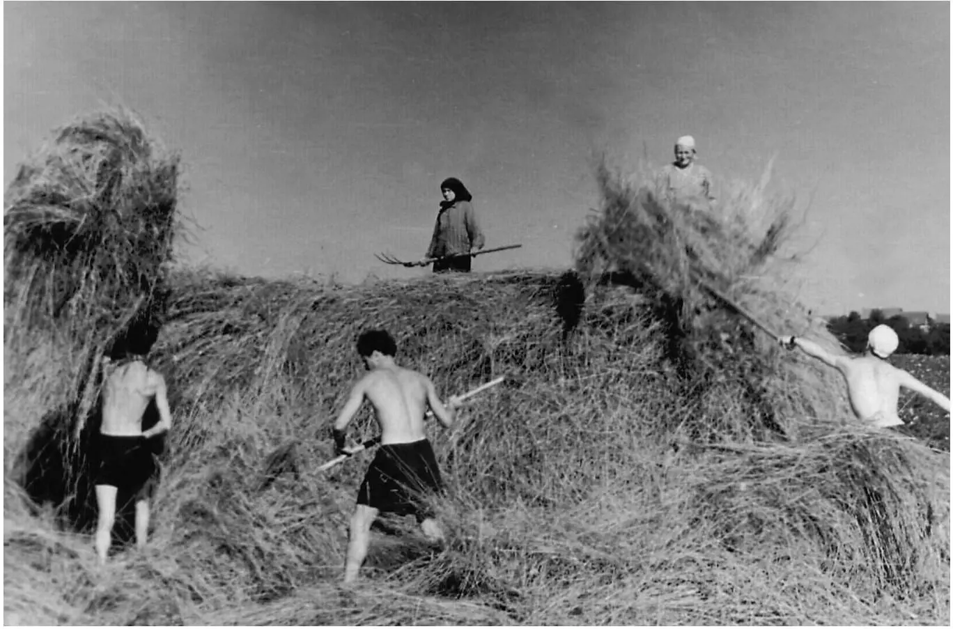 Трусы семейные 1960е гг Из личного архива НГ Снетковой Трусы - фото 13