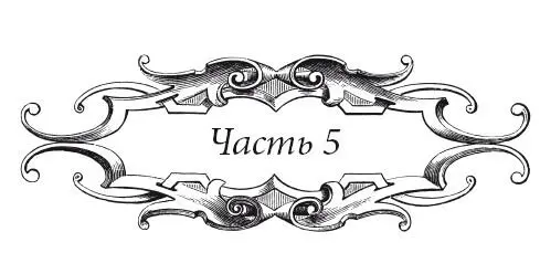 Венецианский контракт - фото 51