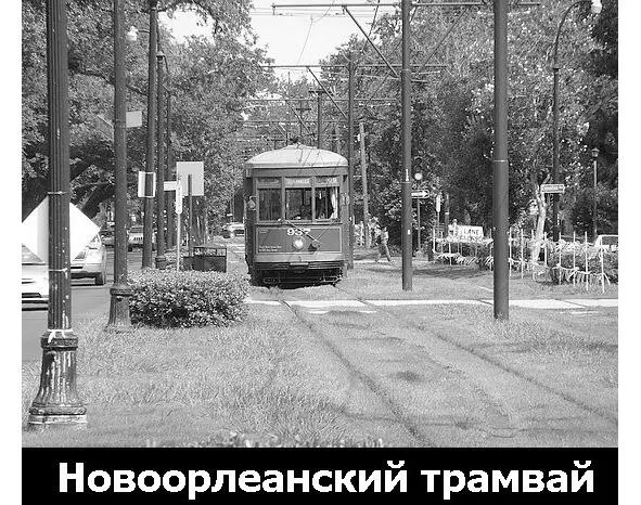 Трамвай в Новом Орлеане Можно выйти и пройтись вдоль линии поглазеть на южные - фото 30