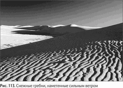 Как вы думаете зачем рыбам чешуя Вихри воды или воздуха течение или ветер - фото 128