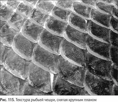 Какую поверхность легче всего обтекать потоку воды Интуитивно кажется что - фото 130