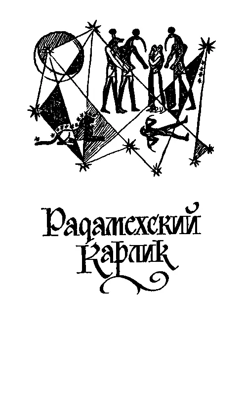 РАДАМЕХСКИЙ КАРЛИК ГЛАВА I В Суакиме Обед подошел к концу и гости перешли в - фото 16
