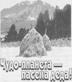 Краснодар Советская Кубань 2005 МЫ БРАТИШКИ БЛИЗНЕЦЫ Витя и я Ваня - фото 1