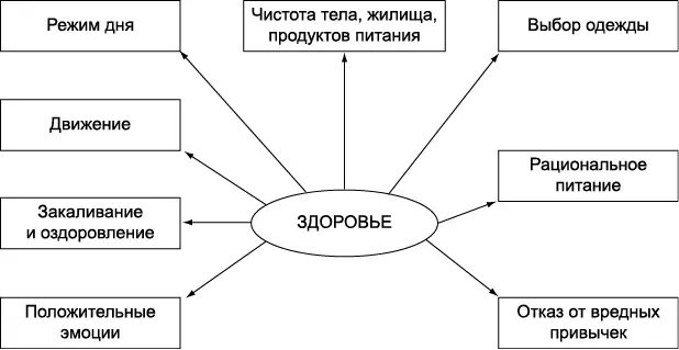 Рис 2Компоненты здоровья 5 Соблюдение режима дня позволяет рационально - фото 3