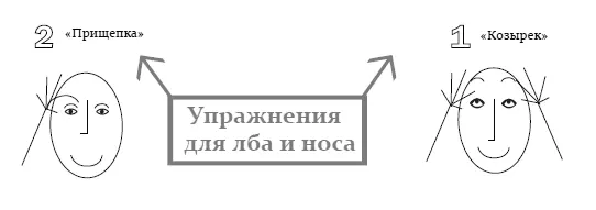 Карта упражнений для лба и носа Козырек Вы в курсе что лоб начинается на - фото 43