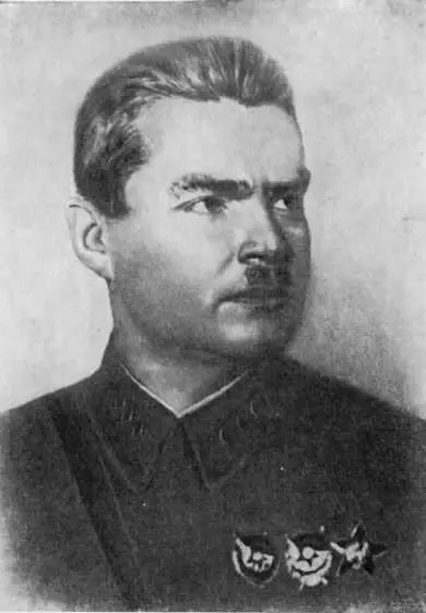 Р П Эйдеман В К Блюхер В И Чапаев Д А Фурманов - фото 33