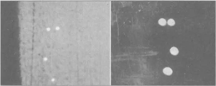 Кадры из цветного фильма снятого 2 июля 1952 г уоррентофицером ВМФ США - фото 94