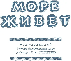 Жизнь у дна пролива Босфор Восточный возле Владивостока ВОЕННОЕ ИЗДАТЕЛЬСТВО - фото 2