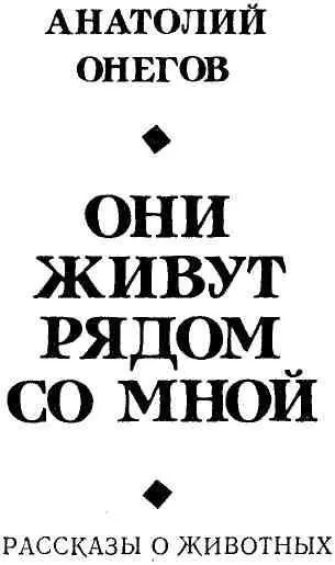 Все чаще и чаще осознаем мы сегодня что живем на Земле не одни что Мир Земли - фото 2