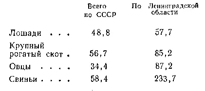 Количество свиней по Ленинградской области не только не снизилось но - фото 3