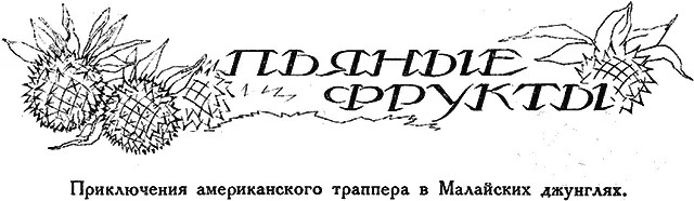Вскоре после моего возвращения из Австралии куда я поставил партию животных - фото 35
