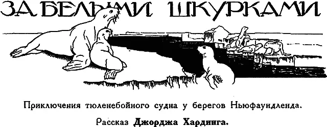 Весною море у берегов Ньюфаундленда загромождается бесконечными пространствами - фото 27