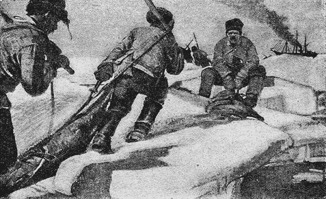 По шесть шкурок связывалось вместе и связки стаскивались к главной куче Люди - фото 29