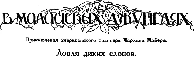 Решив заняться ловлей слонов на Малаккском полуострове я приехал в Тренггану и - фото 26