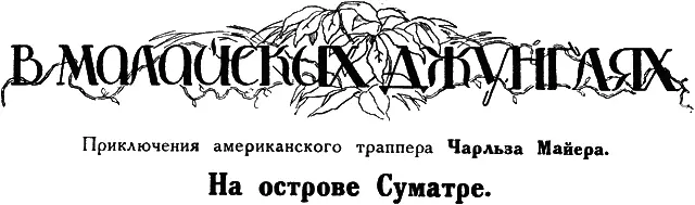 Тропические леса Суматры изобилуют дикими зверями и после удачной поимки - фото 24