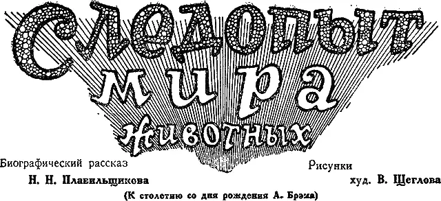 I Первый выстрел Ты возьмешь меня завтра с собой спрашивал еще с вечера - фото 4