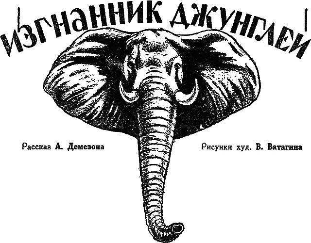 I Вырванный из джунглей Уппа был измучен и смертельно голоден Он стоял на - фото 21