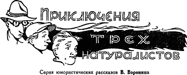 Страшный зверь Если подняться на эту гору сказал Игнат указывая пальцем - фото 33