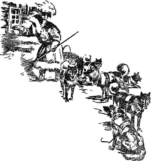 Раздался слабый скрип снега под полозьями нарт и осторожный стук в окно - фото 13