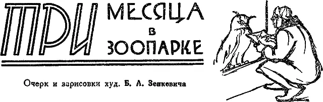 I Рука в носке Охота рисовальщика Назойливые зеваки - фото 18