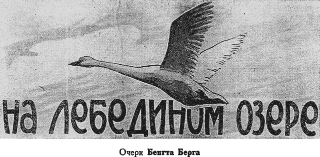I Озеро диких лебедей В южной Швеции среди множества больших и малых озер - фото 22