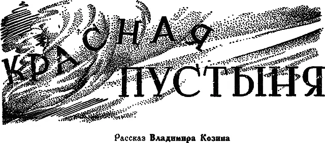 Летом тысяча девятьсот двадцать девятого года из Афганистана на оазис Лебаб - фото 24