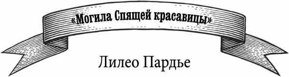 Сказка наоборот Судьба угрюма как братья Гримм У фей не бывает хвостов - фото 2