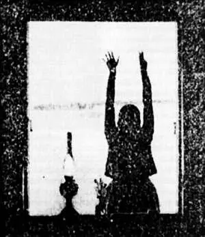 Фото автора 18 июля 1981 г Карл в гостях у Петра Постоянные наши читатели - фото 72