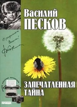 Василий Песков - Полное собрание сочинений. Том 13. Запечатленные тайны