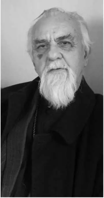 Протоиерей Деян Деянович Общину верующих которая собирается в храме на - фото 8