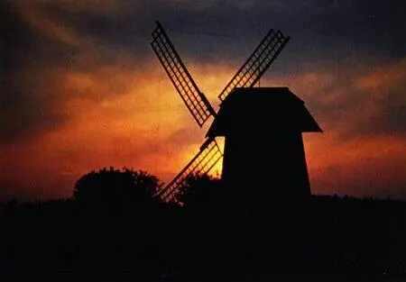 Михайловское Вечер Фото автора 12 февраля 1983 г Зима в Михайловском - фото 68