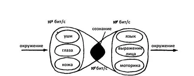 Сознание между получением впечатлений и их выражением Рисунок ВДКайделя из - фото 13