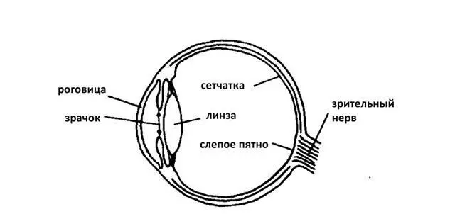 Слепое пятно Чтобы это выяснить нам не нужны компьютеры О существовании - фото 15