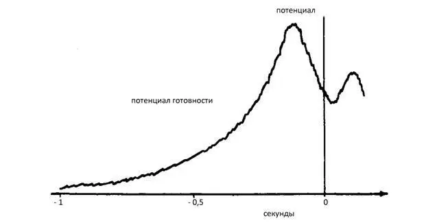 Потенциал готовности изменение в электрическом поле вокруг мозга которое - фото 25