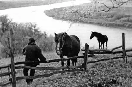 На Оке осенью Чувство Родины важнейшее чувство для каждого человека - фото 55