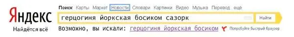 Официальный адвокат ее высочества герцогини Йоркской леди Сары Фергюссон - фото 18
