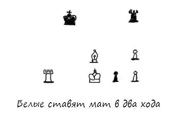 Подобно любой другой игре шахматы создают мир который могут исследовать - фото 29