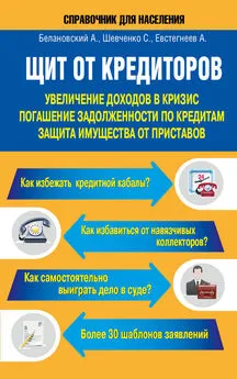 Светлана Шевченко - Щит от кредиторов. Увеличение доходов в кризис, погашение задолженности по кредитам, защита имущества от приставов