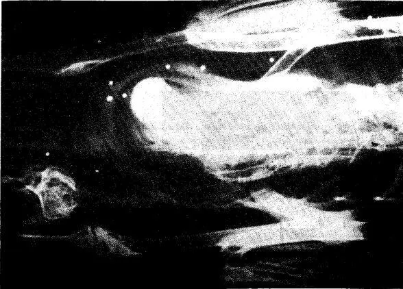 Рис 21Рентгеновский снимок задней части тела датского лебедяшипуна Cygnus - фото 22