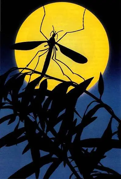 Несносные двукрылые Кому летом не досаждали комары и мухи Эти назойливые - фото 61