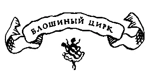 Блошиный цирк Уже в самом начале улицы где за порядком смотрело несколько - фото 35