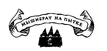Мышибрат на пытке В это время в старинной башне ратуши началось следствие - фото 38