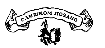 Слишком поздно Багровое солнце опускалось ниже в долине клубился туман Нам - фото 49