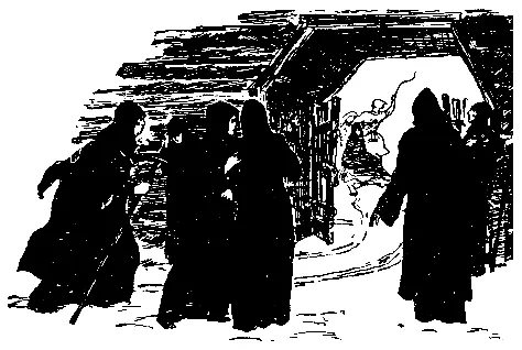 Бориска посмотрел на одну из них и обомлел Фетиньюшка радостно крикнул - фото 41