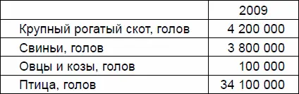 Валовой сбор продуктов 2009 на душу населения 2009 год осень Основано - фото 7