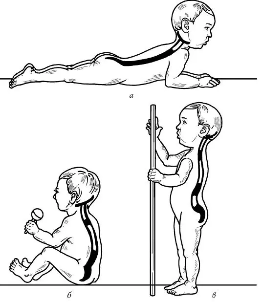 Рис 9 Формирование изгибов позвоночника а при начале держания головы б - фото 10